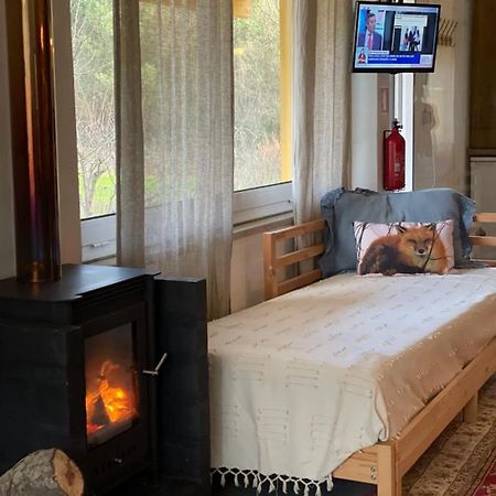 Loft - Casinha A Porta Villa Arouca Bagian luar foto